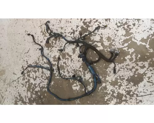 INTERNATIONAL DT466 EGR Engine Wiring Harness