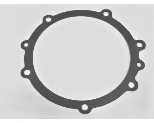 INTERNATIONAL DT466 Mechanical Engine Gaskets & Seals