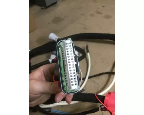 INTERNATIONAL DT466E (EGR) Engine Wiring Harness