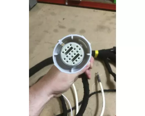INTERNATIONAL DT466E (EGR) Engine Wiring Harness