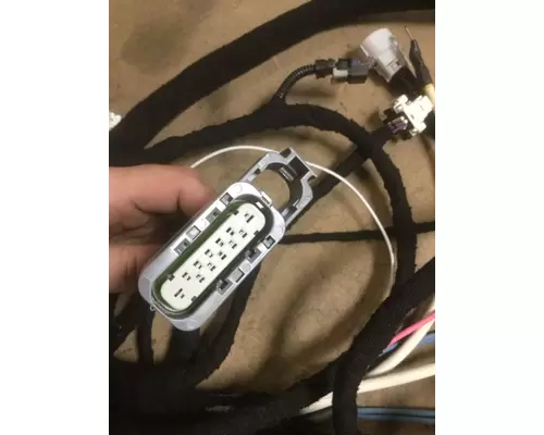 INTERNATIONAL DT466E (EGR) Engine Wiring Harness