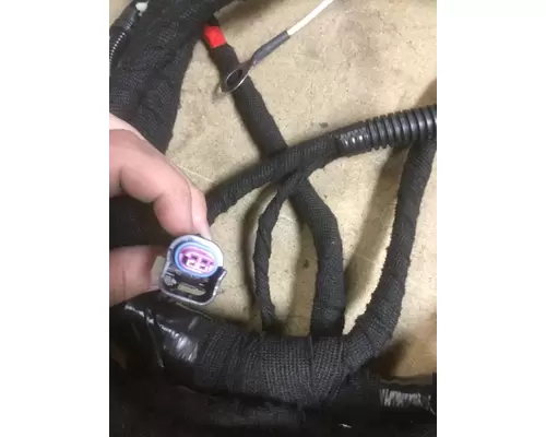INTERNATIONAL DT466E (EGR) Engine Wiring Harness