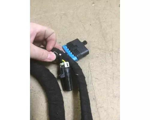 INTERNATIONAL DT466E (EGR) Engine Wiring Harness