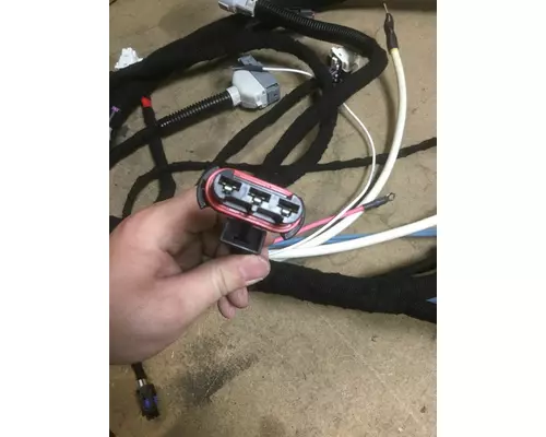 INTERNATIONAL DT466E (EGR) WIRING HARNESS, ENGINE