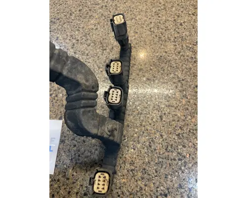 INTERNATIONAL DT466E Maxxforce Engine Assembly