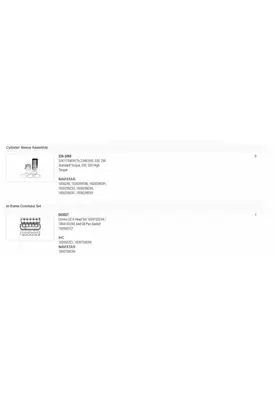 INTERNATIONAL DT466E Engine Overhaul Kit