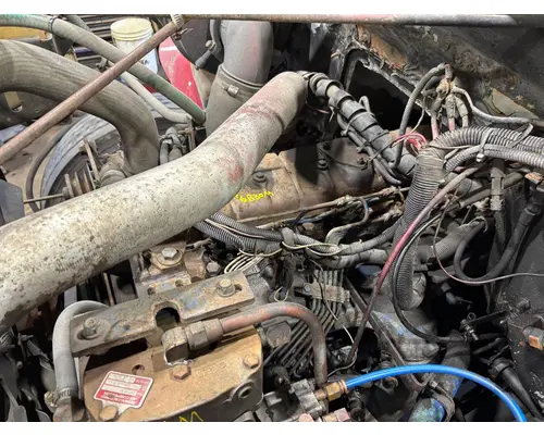 INTERNATIONAL DT466 Engine Assembly