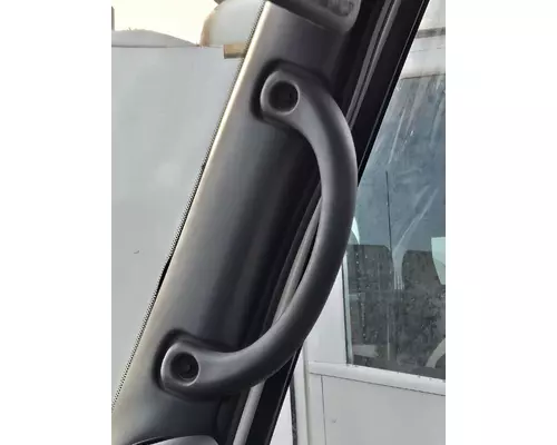 INTERNATIONAL DURASTAR (4300)  Grab Handle