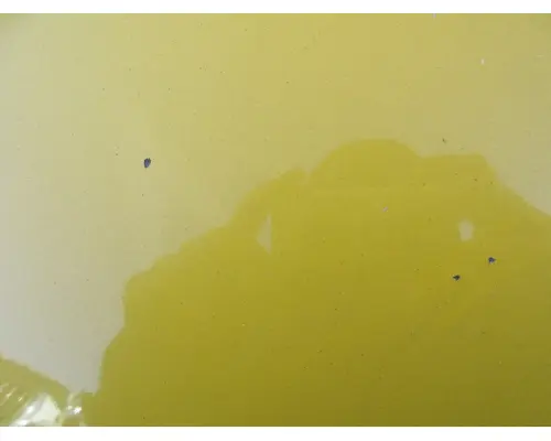 INTERNATIONAL DURASTAR Hood