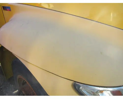 INTERNATIONAL DURASTAR Hood