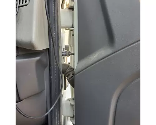 INTERNATIONAL DuraStar 4400 Door Assembly, Front