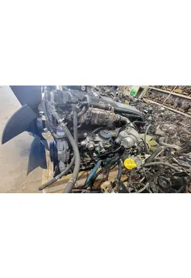 INTERNATIONAL Durastar Alternator
