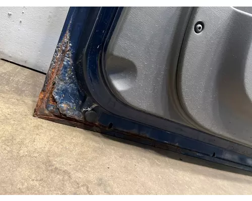 INTERNATIONAL Durastar Door Assembly, Front