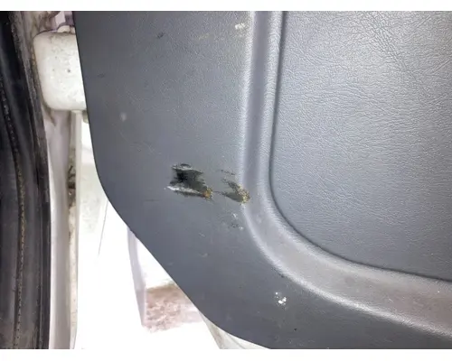 INTERNATIONAL Durastar Door Assembly, Front