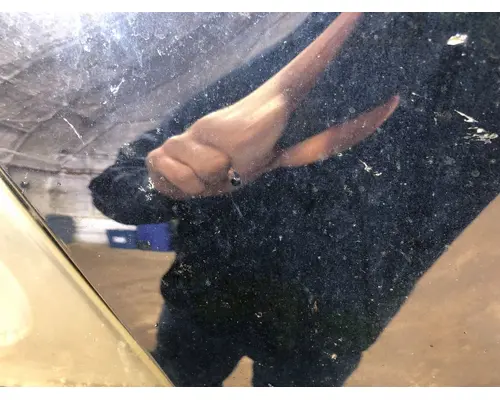 INTERNATIONAL Durastar Grille