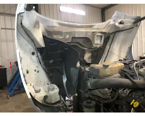 INTERNATIONAL Durastar Hood