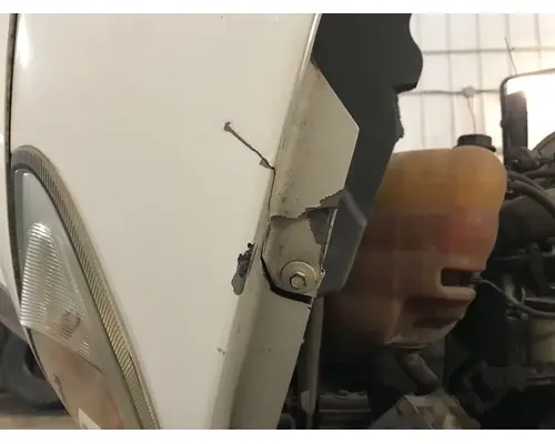 INTERNATIONAL Durastar Hood