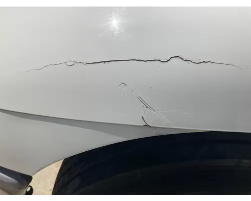 INTERNATIONAL Durastar Hood