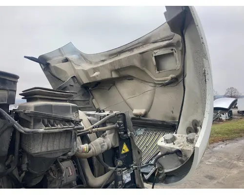 INTERNATIONAL Durastar Hood