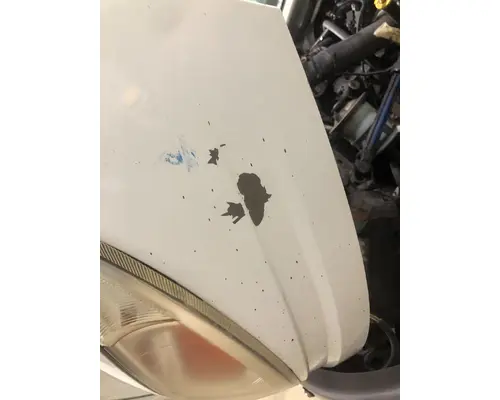 INTERNATIONAL Durastar Hood