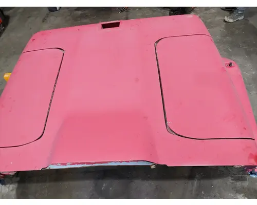 INTERNATIONAL F-2674 Hood