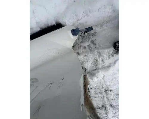 INTERNATIONAL F-5070 Hood