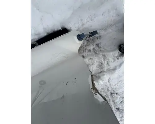 INTERNATIONAL F-5070 Hood