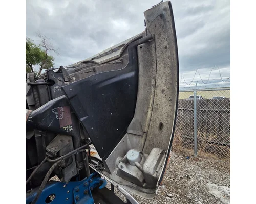INTERNATIONAL F-8100 Hood