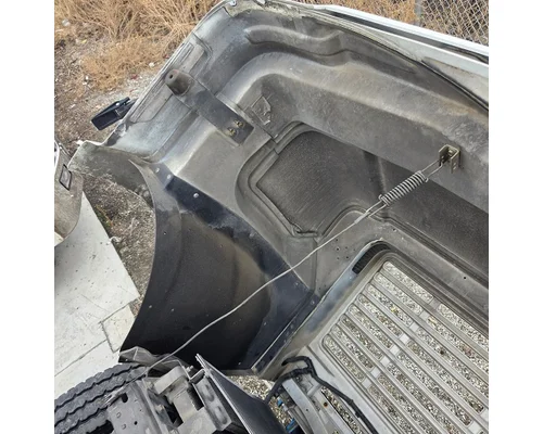 INTERNATIONAL F-8100 Hood
