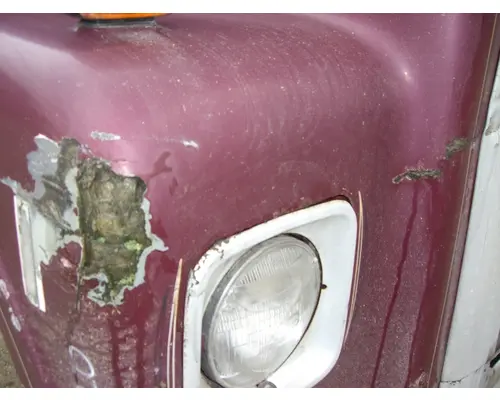 INTERNATIONAL F4370 HOOD