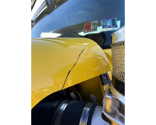 INTERNATIONAL HX520 Hood