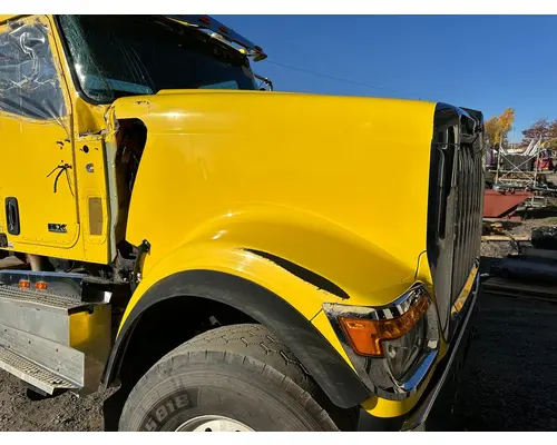 INTERNATIONAL HX520 Hood