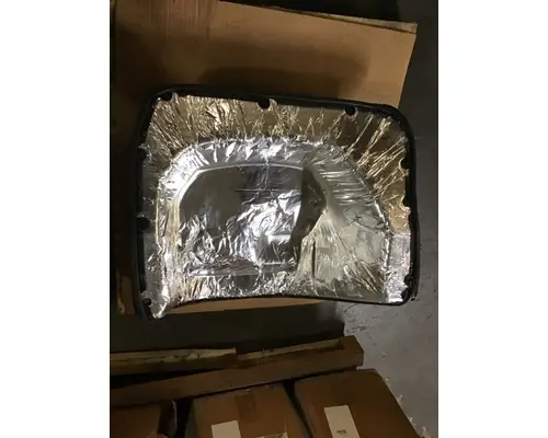 INTERNATIONAL HX620 Door Panel (Trim)
