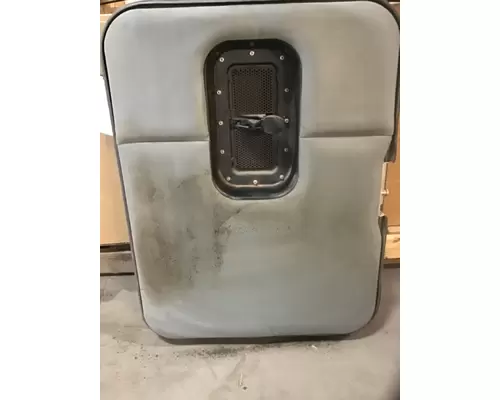 INTERNATIONAL International  Door Assembly, Front
