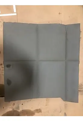 INTERNATIONAL International  Door Panel (Trim)