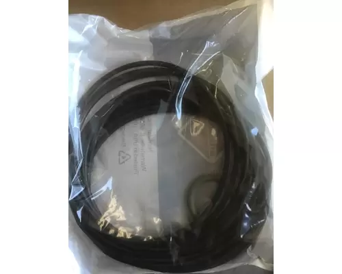 INTERNATIONAL International  Engine Reman Kit