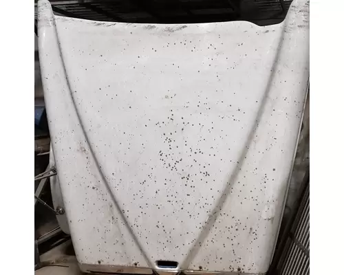 INTERNATIONAL LF627 Hood