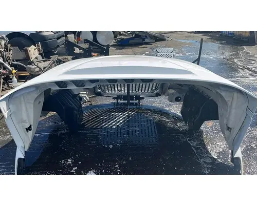 INTERNATIONAL LF687 Hood