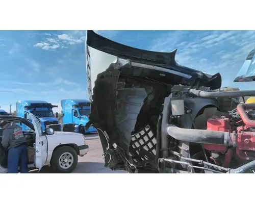 INTERNATIONAL LONESTAR 2008-2024 HOOD