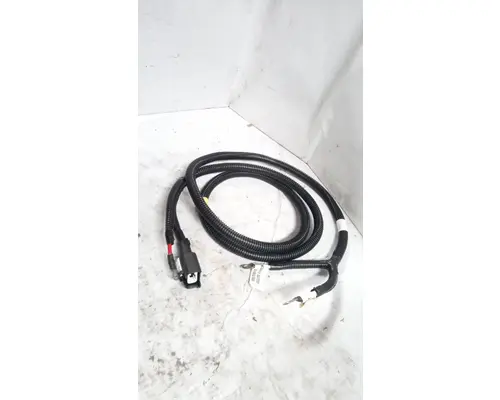 INTERNATIONAL LONESTAR Battery