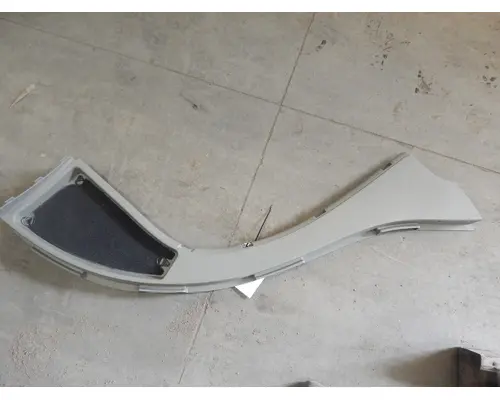 INTERNATIONAL LONESTAR Door Panel (Trim)