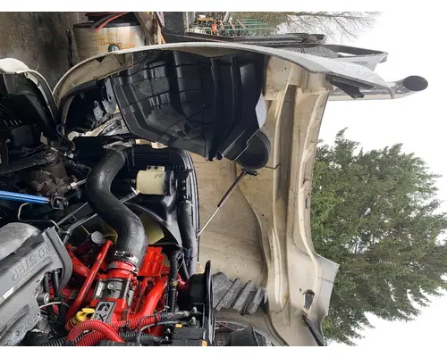 INTERNATIONAL LT625 Hood