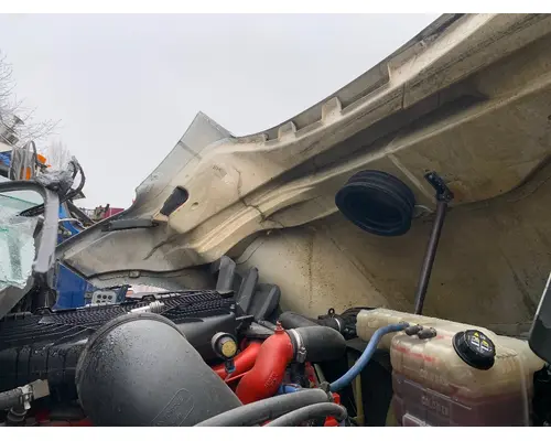 INTERNATIONAL LT625 Hood