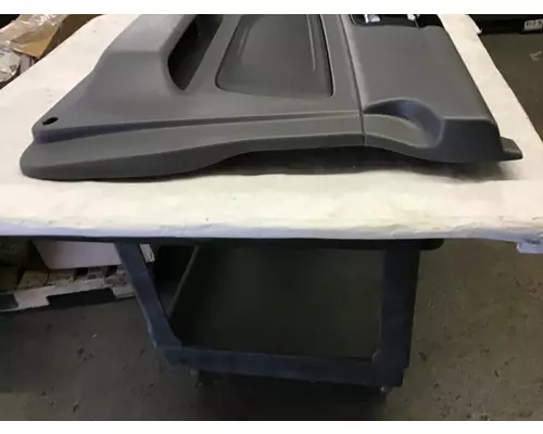 INTERNATIONAL LT Door Panel (Trim)
