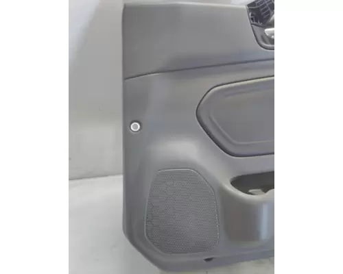 INTERNATIONAL LT Door Panel (Trim)