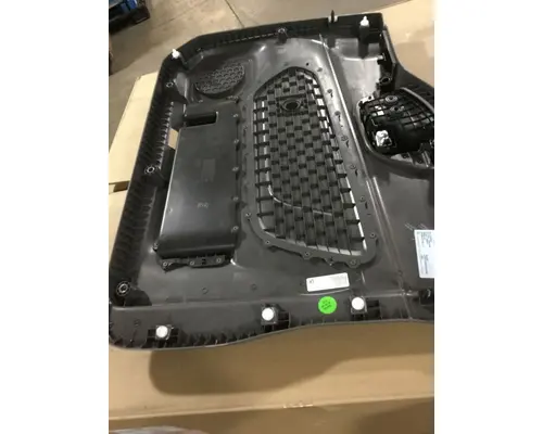 INTERNATIONAL LT Door Panel (Trim)