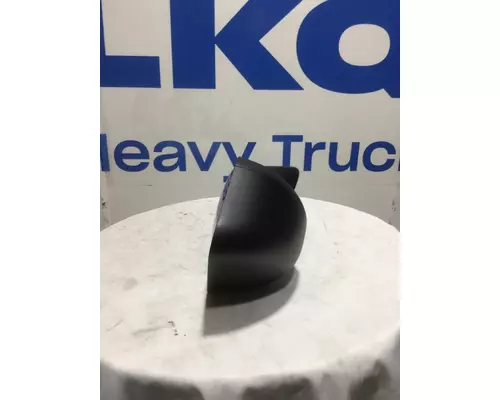 INTERNATIONAL LT Door Panel (Trim)