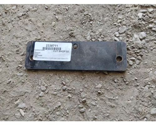 INTERNATIONAL LT HOOD HINGE