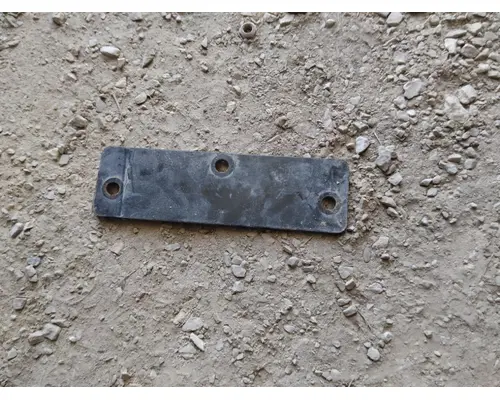 INTERNATIONAL LT HOOD HINGE