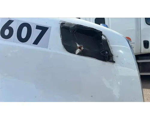 INTERNATIONAL LT HOOD